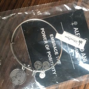 Alex And Ani Disney Cinderella